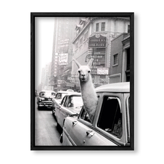 Imagen de Taxi Llama