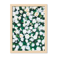 Flores Blancas