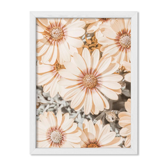 Salmon Flowers - comprar online