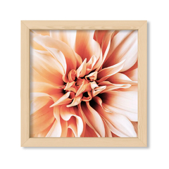 Dahlia 1