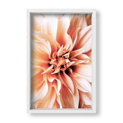 Dahlia 1 - tienda online
