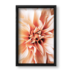 Imagen de Dahlia 1