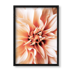 Imagen de Dahlia 1