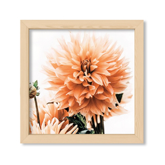 Dahlia 2