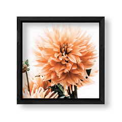 Imagen de Dahlia 2