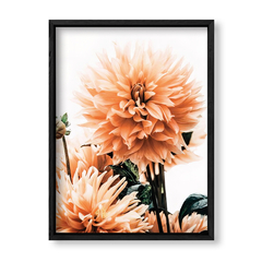Imagen de Dahlia 2