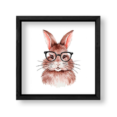 Imagen de Conejo Intelectual