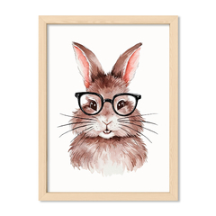 Conejo Intelectual