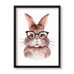 Imagen de Conejo Intelectual