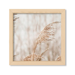 Pampas 2