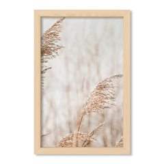 Pampas 2