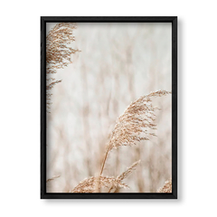 Imagen de Pampas 2