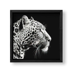 Imagen de Black Leopard