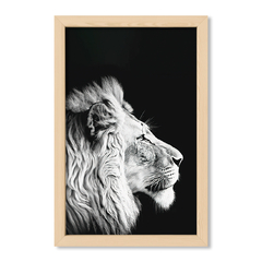 Black Lion