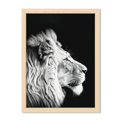 Black Lion