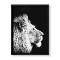 Imagen de Black Lion