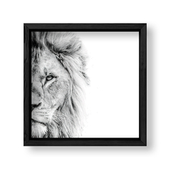 Imagen de The Lion