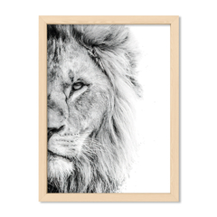 The Lion