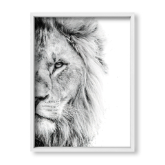 The Lion - tienda online