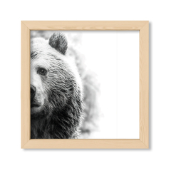 The Bear