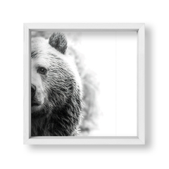 The Bear - tienda online