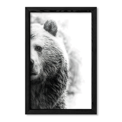 The Bear en internet