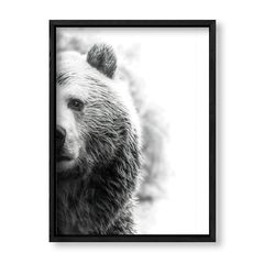 Imagen de The Bear