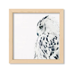The Owl