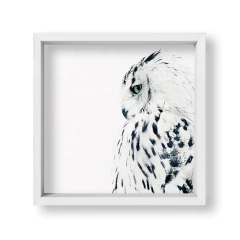 The Owl - tienda online