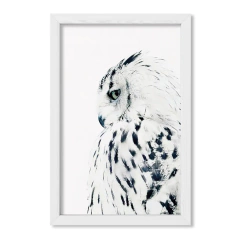 The Owl - comprar online