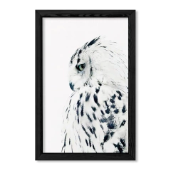 The Owl en internet