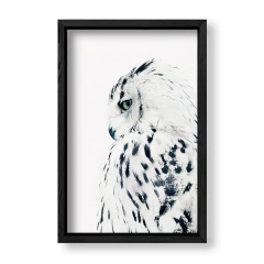 Imagen de The Owl