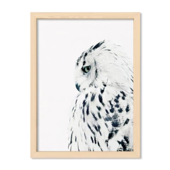 The Owl