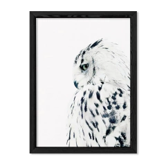 The Owl en internet