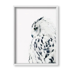 The Owl - tienda online