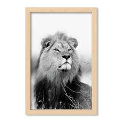 Rey de la selva