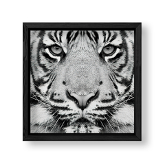 Imagen de The Tiger