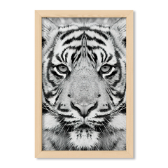 The Tiger