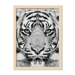 The Tiger