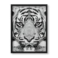 Imagen de The Tiger