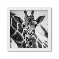 The Giraffe - comprar online