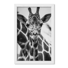 The Giraffe - comprar online
