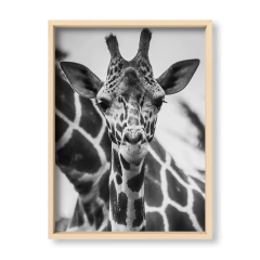 The Giraffe - El Nido - Tienda de Objetos