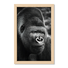 The Gorilla