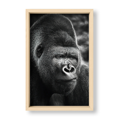 The Gorilla - El Nido - Tienda de Objetos