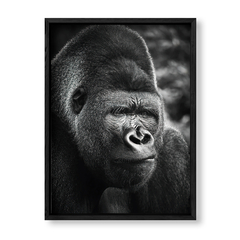 Imagen de The Gorilla