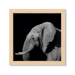 The Elephant