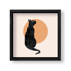 Imagen de Gato Nocturno