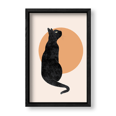 Imagen de Gato Nocturno