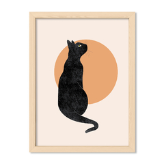 Gato Nocturno
